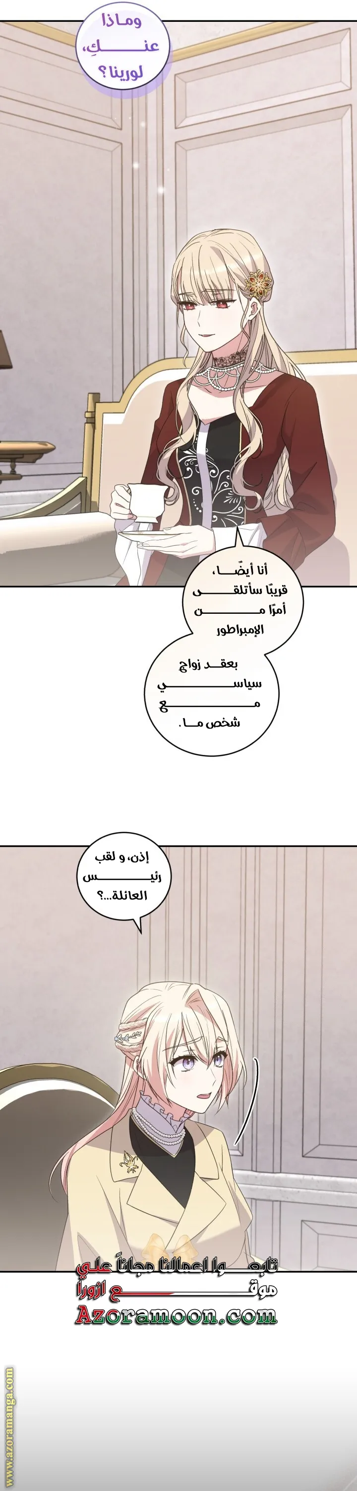 الصفحة 17