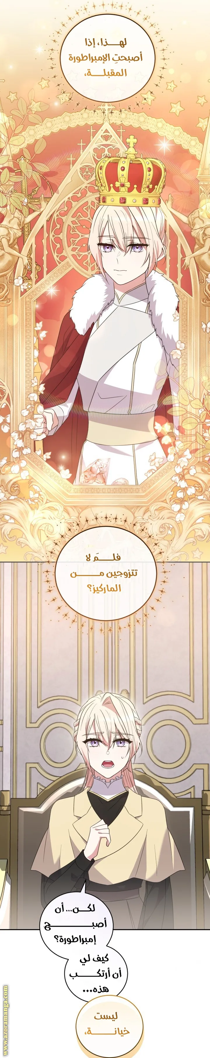 الصفحة 24