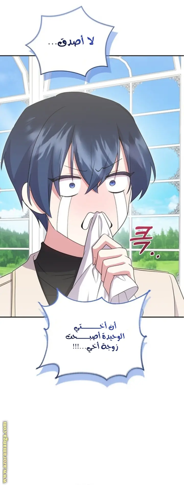 الصفحة 41