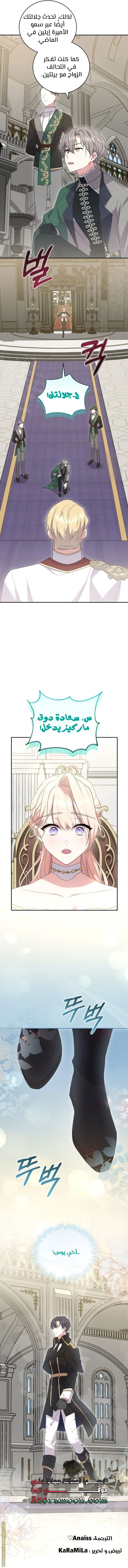 الصفحة 14