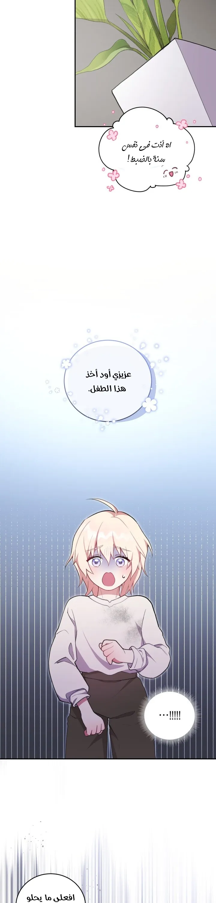 الصفحة 27