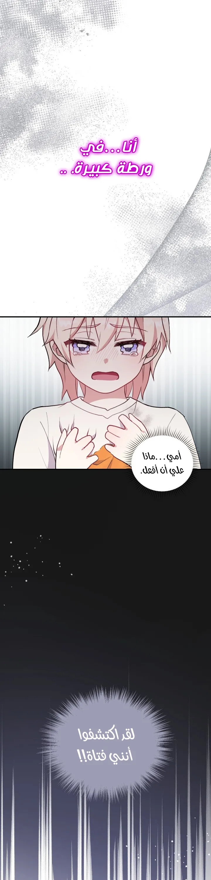الصفحة 46