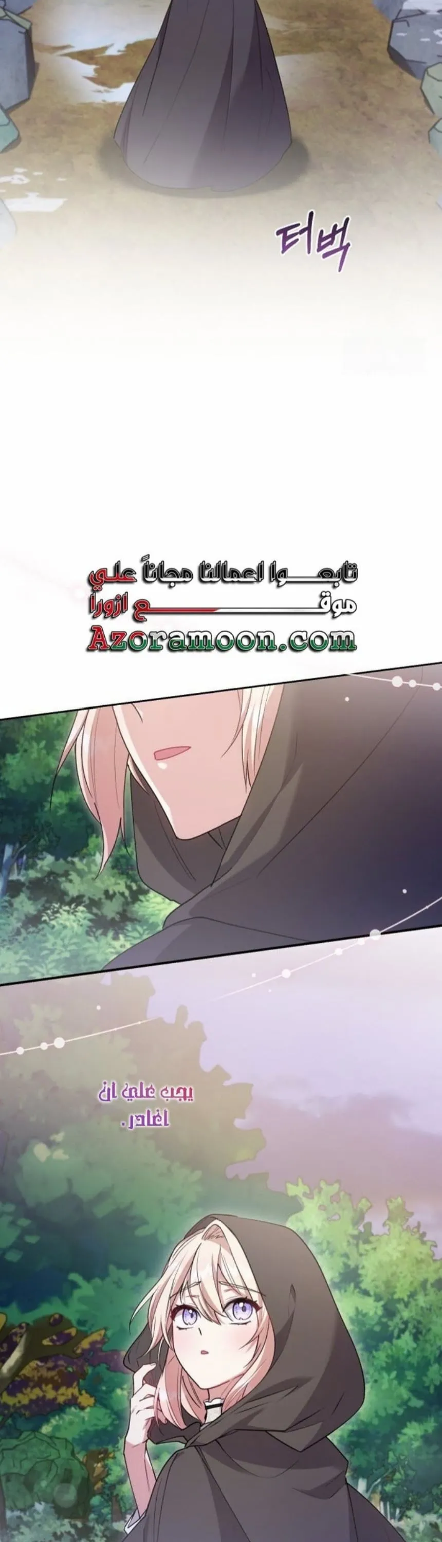 الصفحة 27