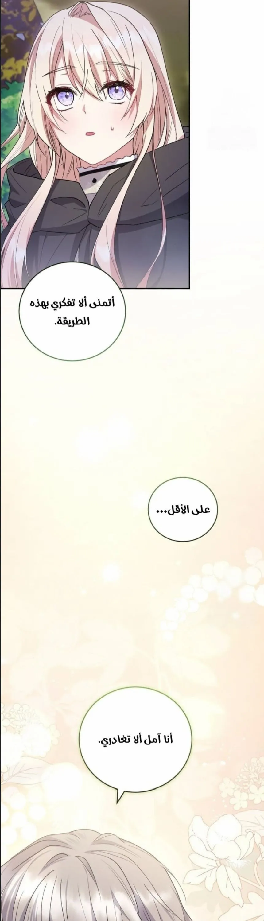 الصفحة 43