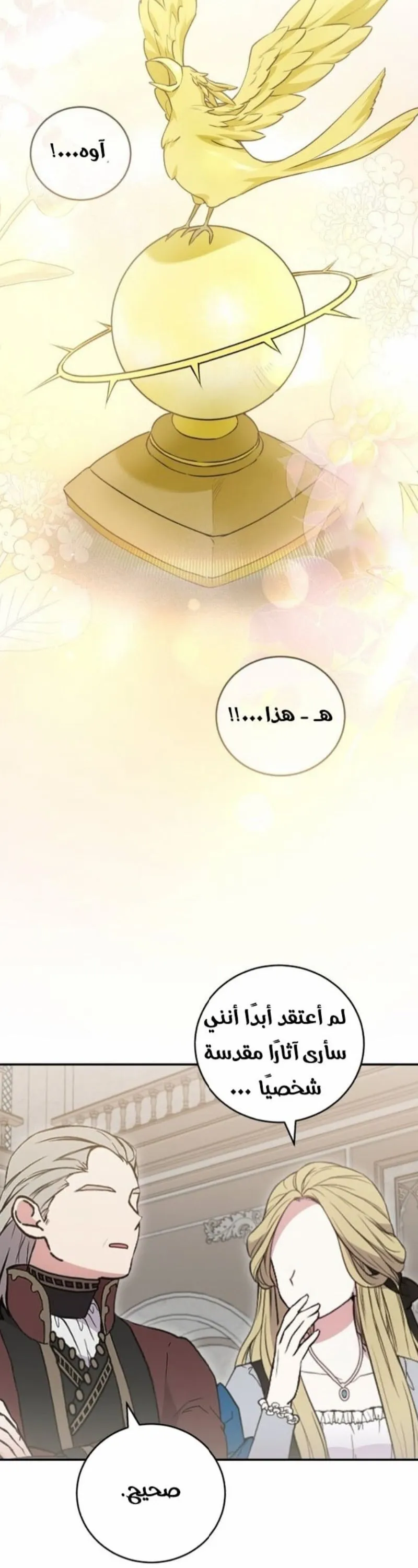الصفحة 14