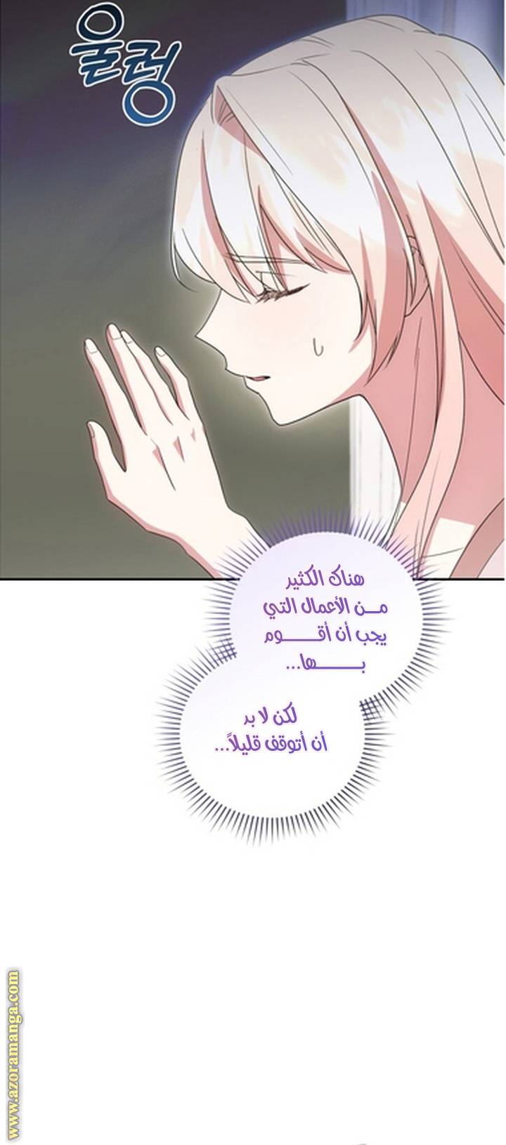 الصفحة 21