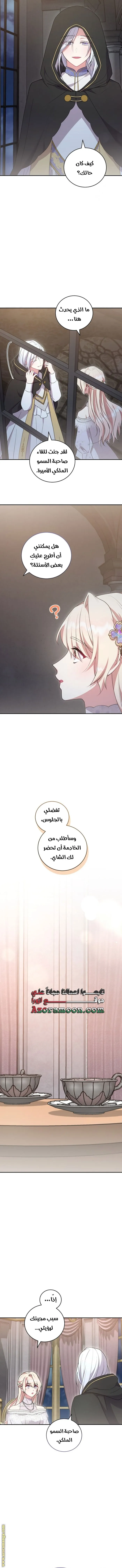 الصفحة 11