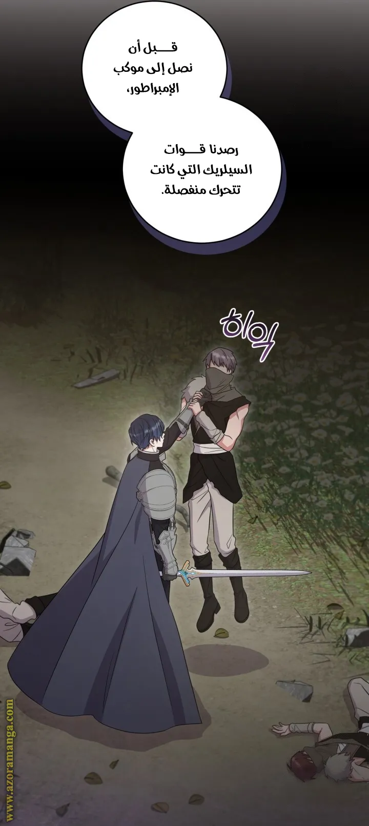 الصفحة 11