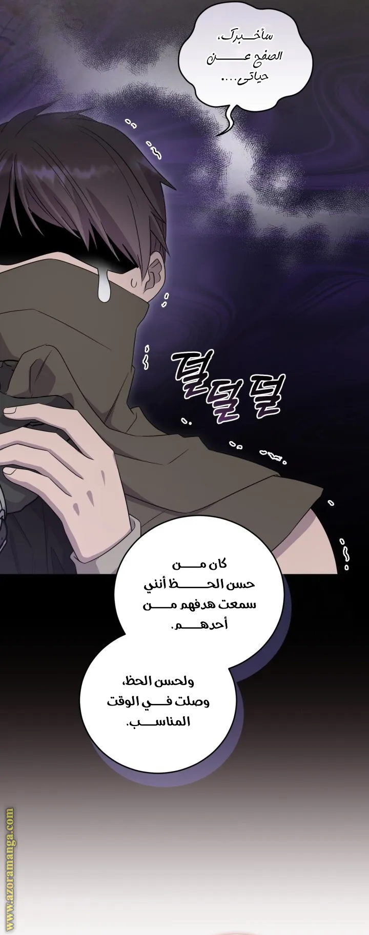 الصفحة 12