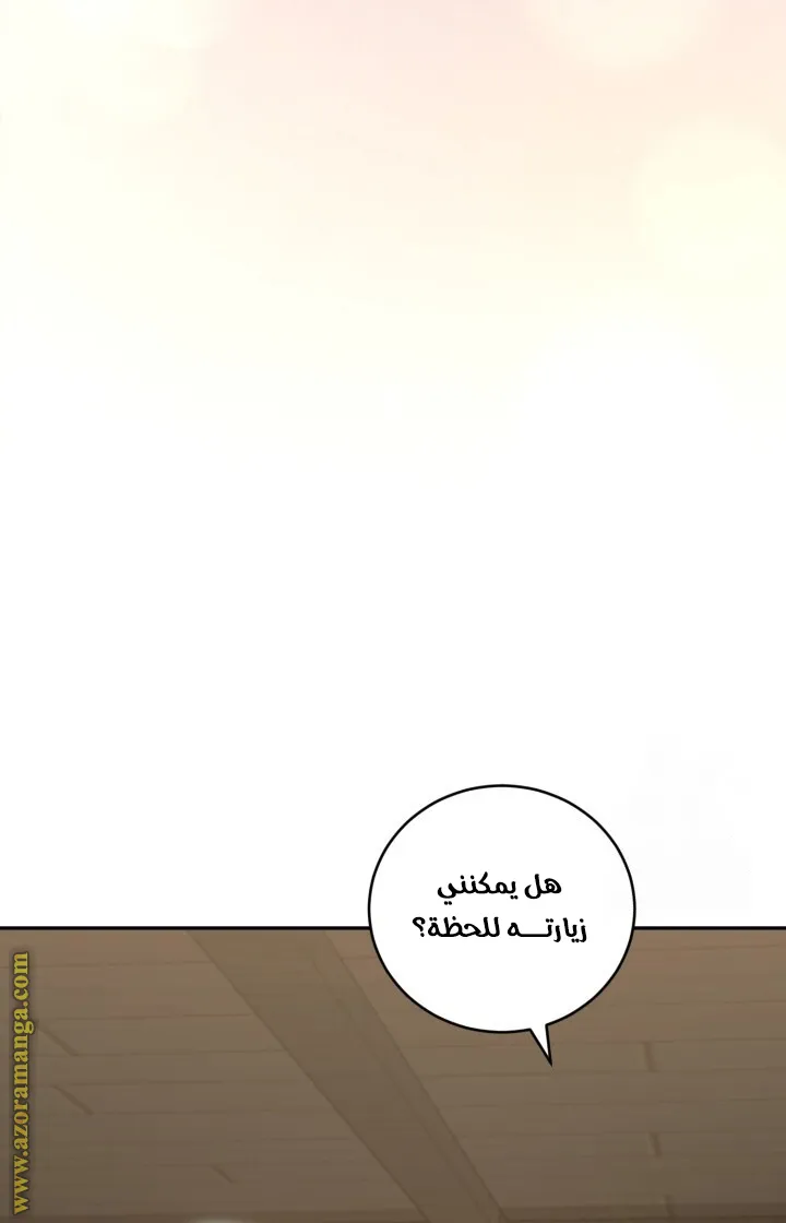 الصفحة 52