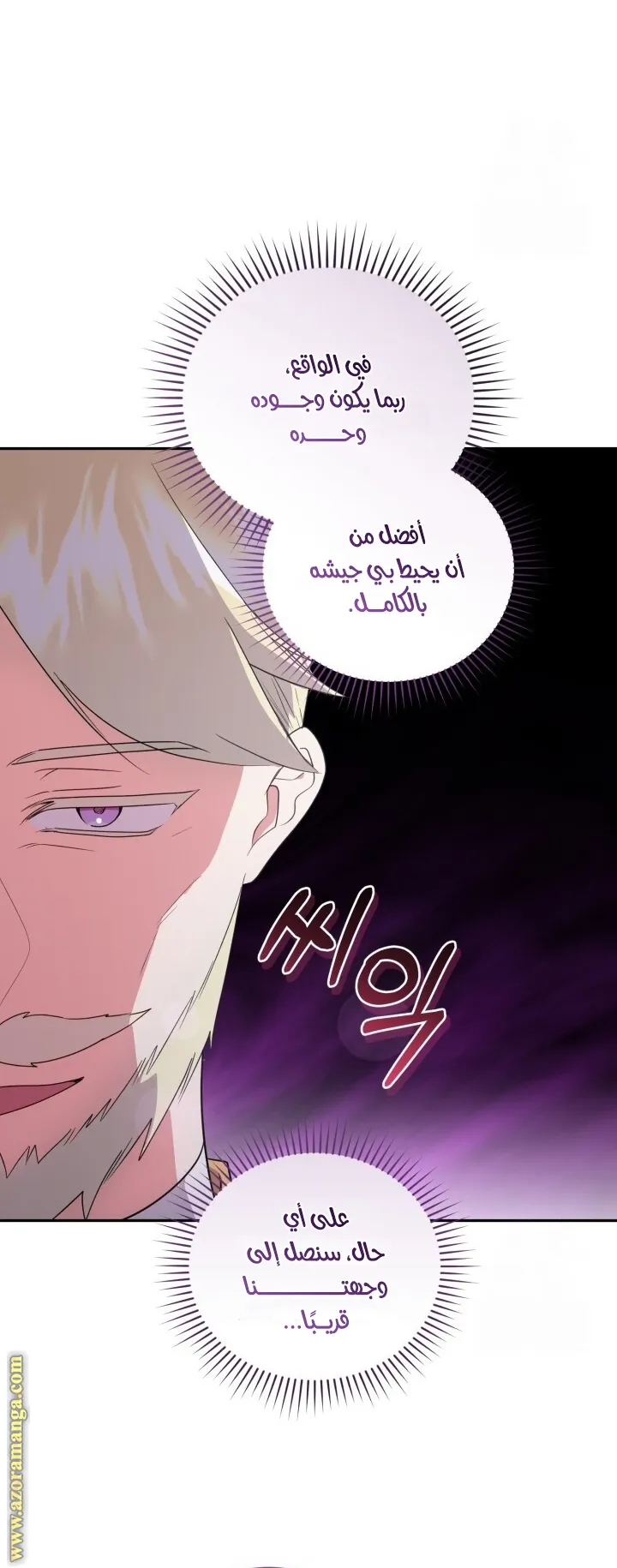 الصفحة 26