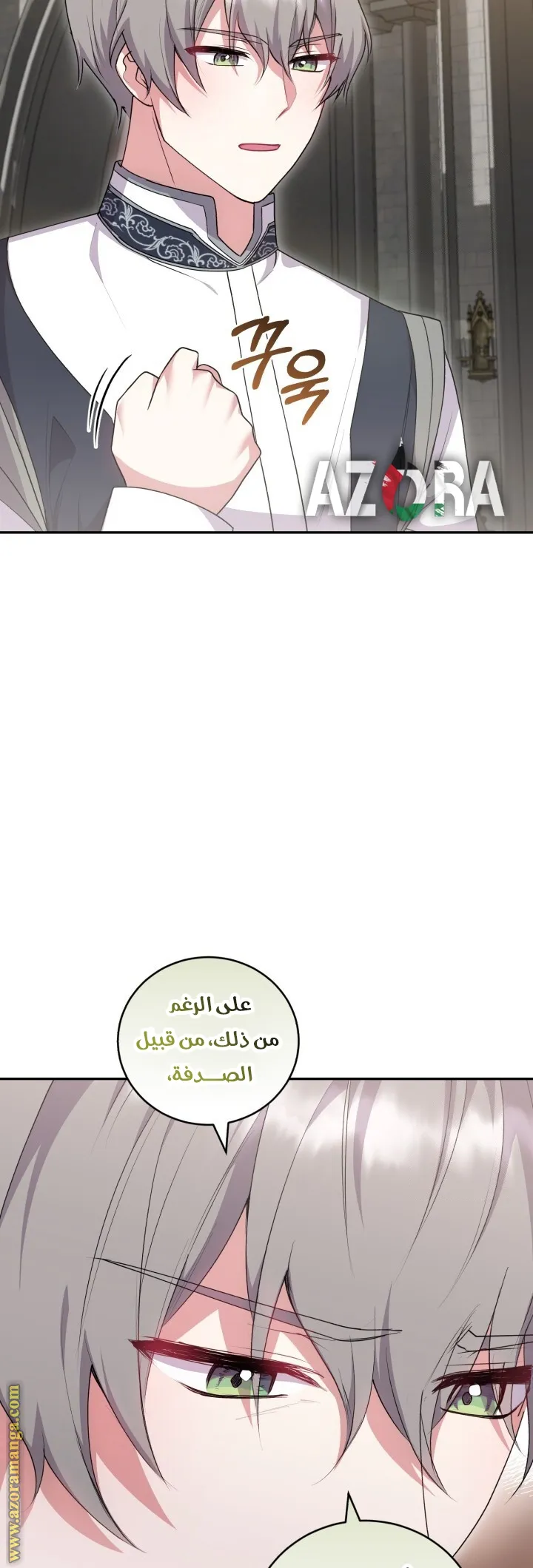 الصفحة 20