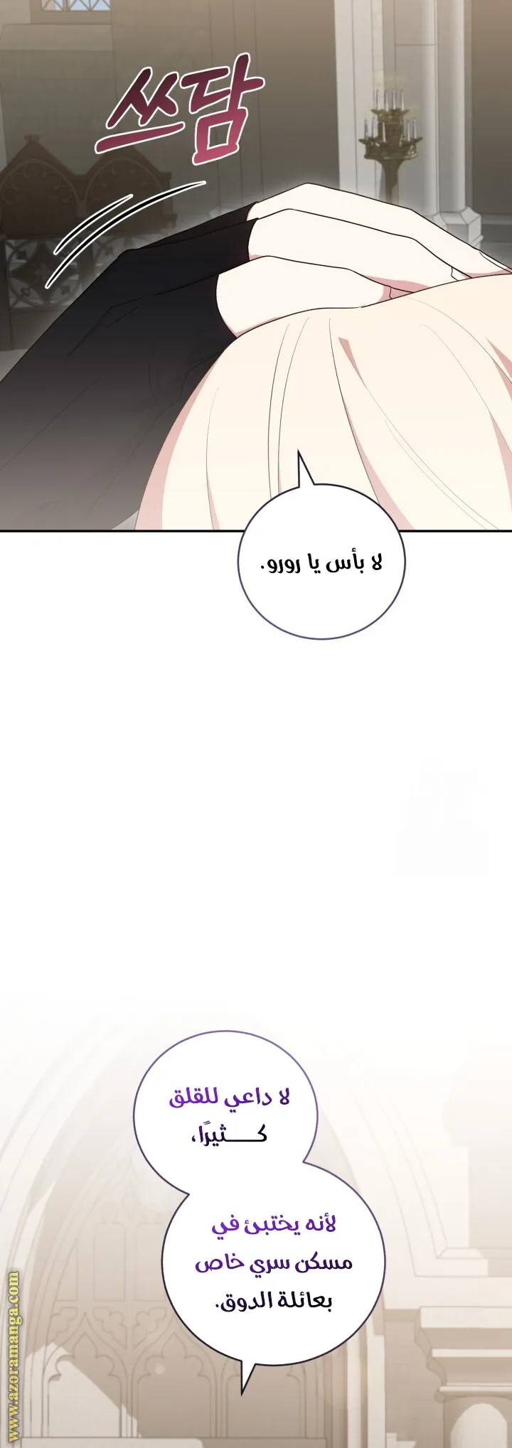 الصفحة 25