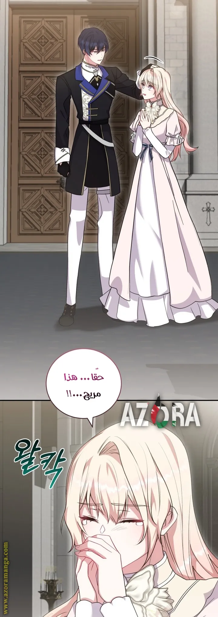 الصفحة 26