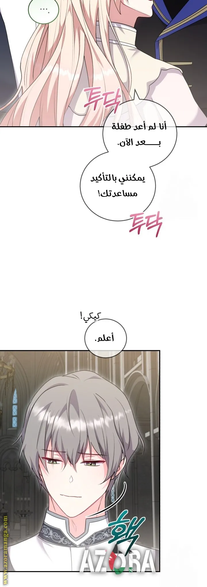 الصفحة 29