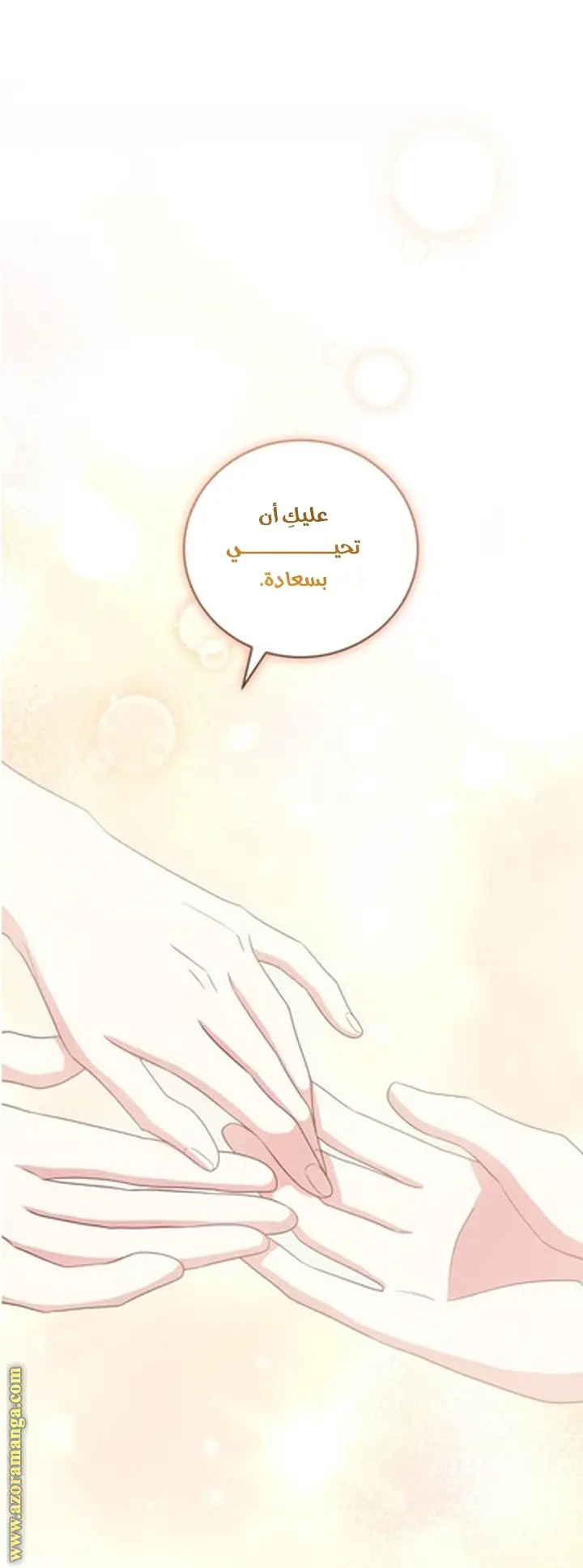 الصفحة 17