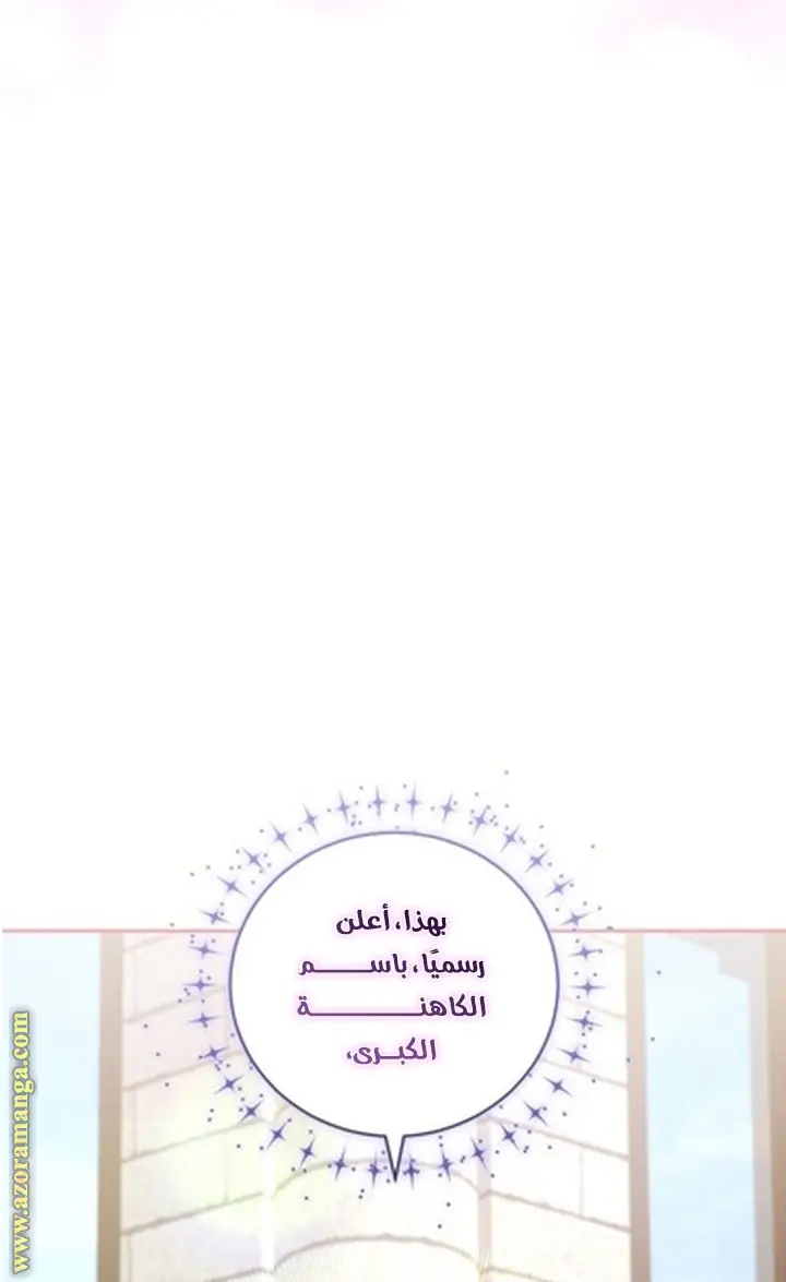الصفحة 29