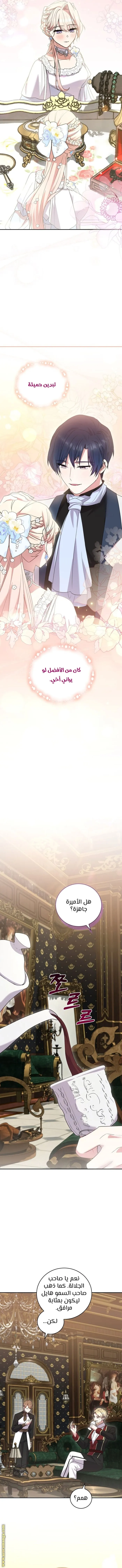 الصفحة 11