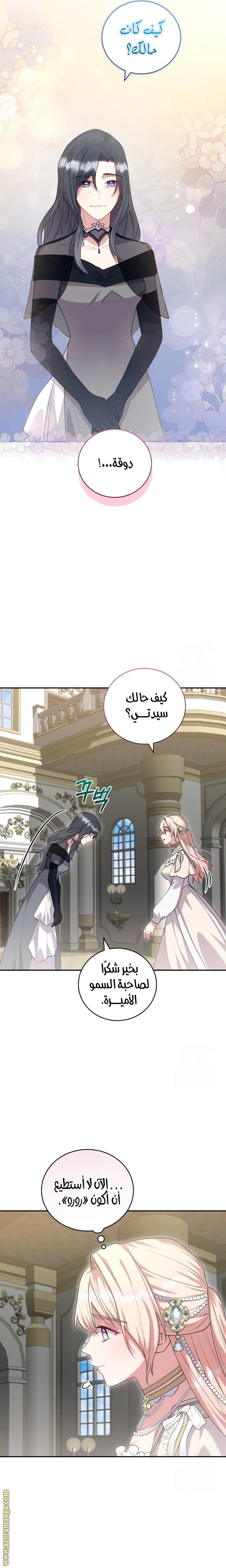 الصفحة 17