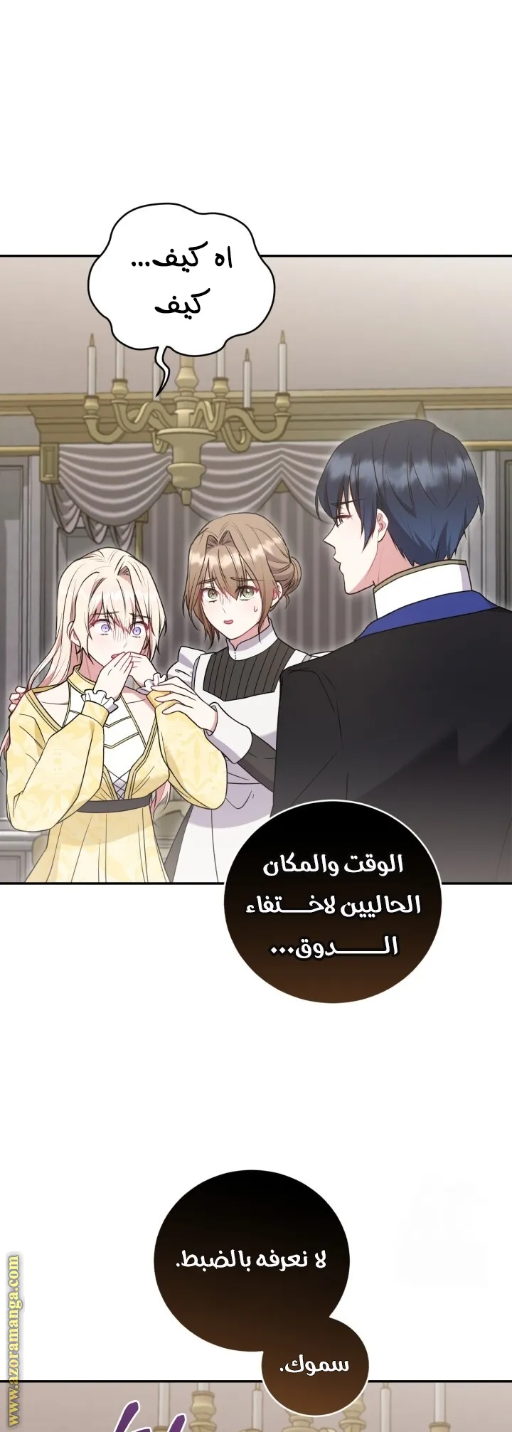 الصفحة 26