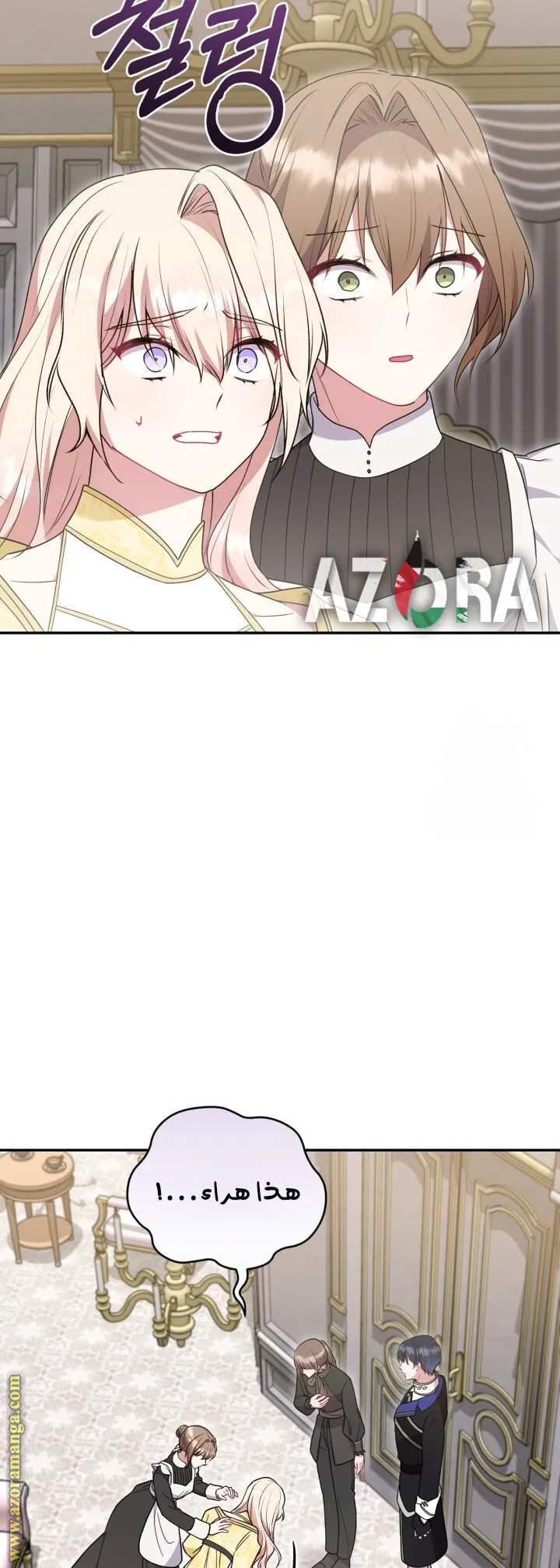الصفحة 27
