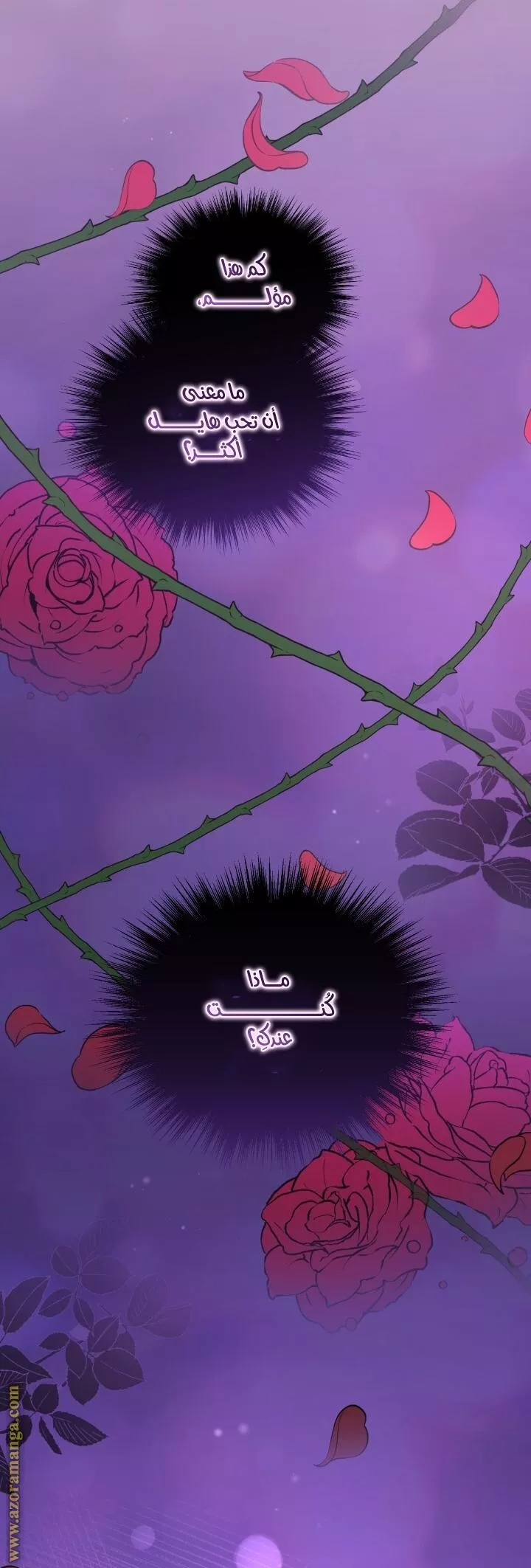 الصفحة 13