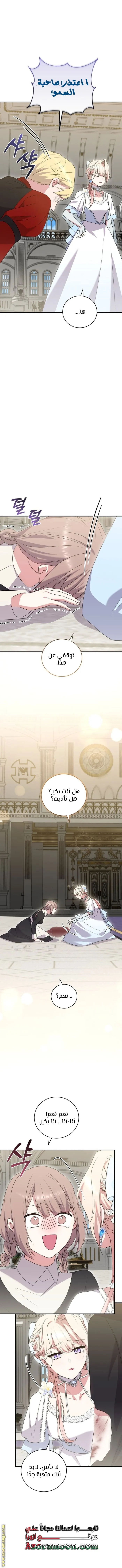 الصفحة 11