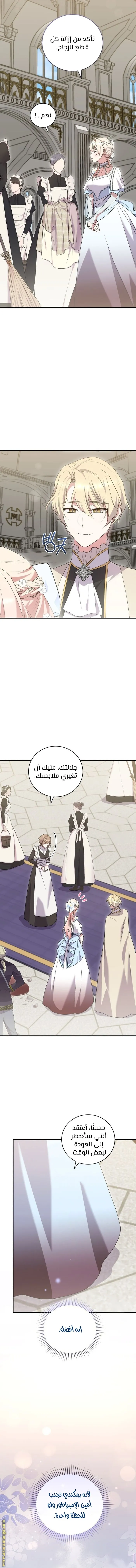 الصفحة 13