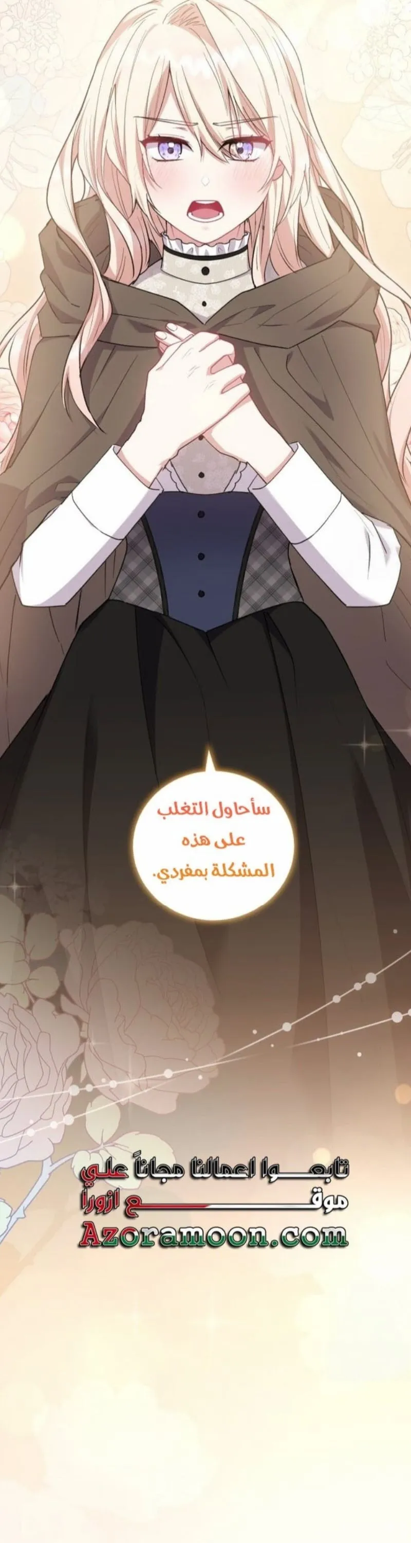 الصفحة 13