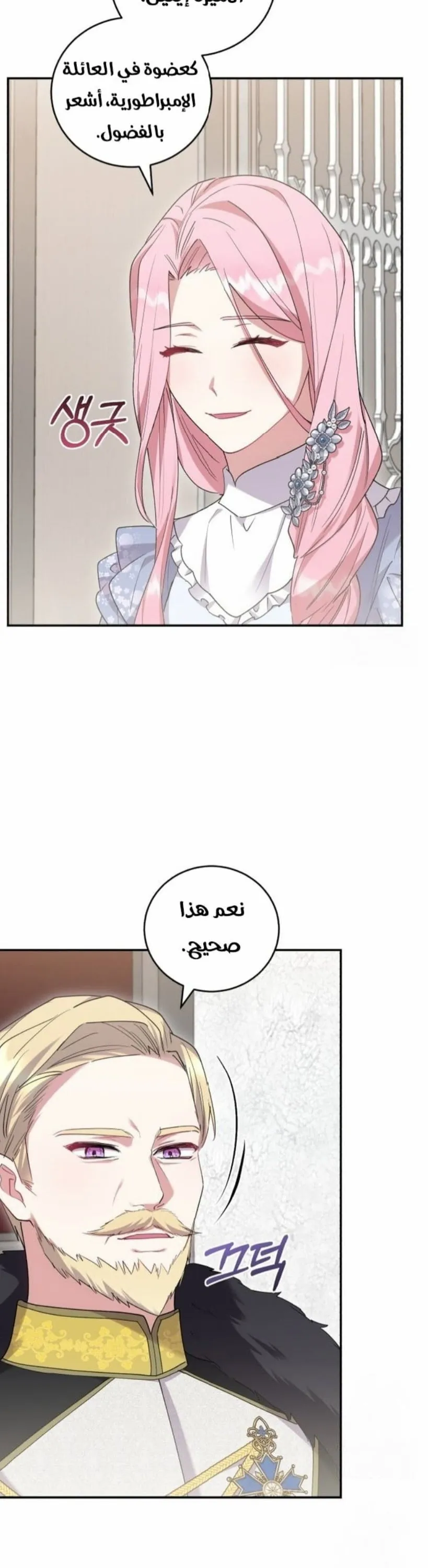 الصفحة 24