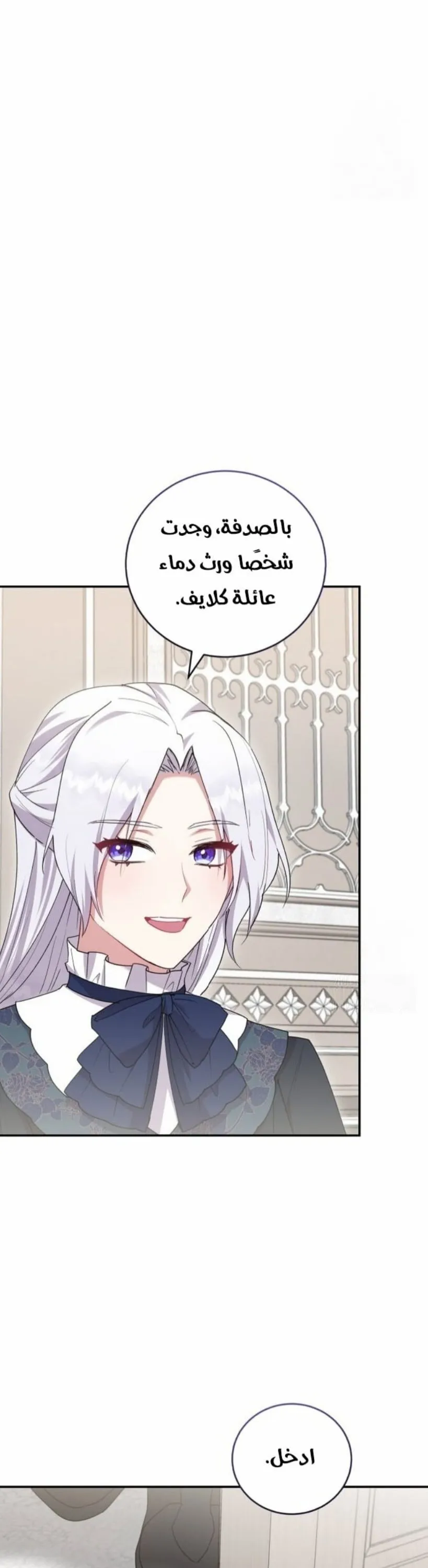 الصفحة 28