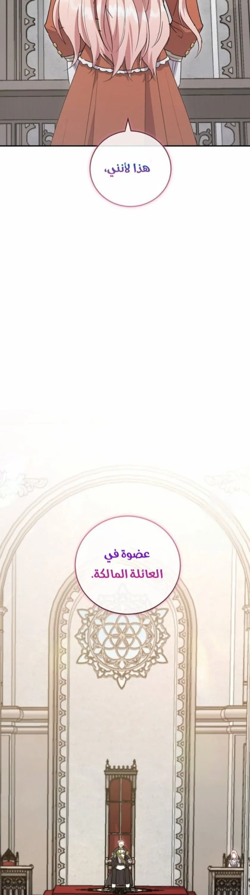 الصفحة 48