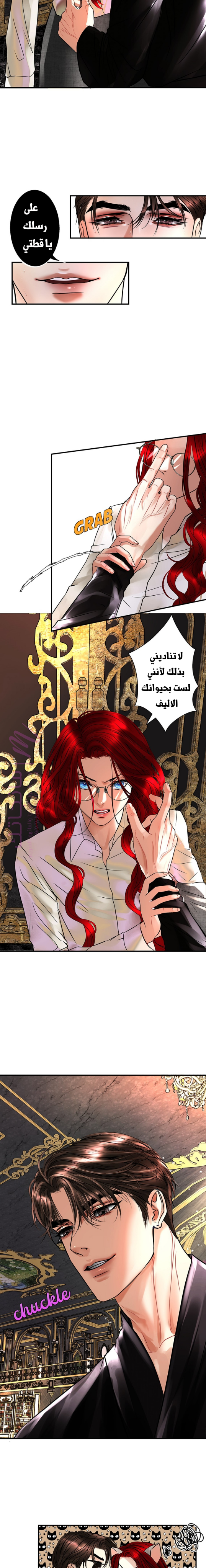 الصفحة 16