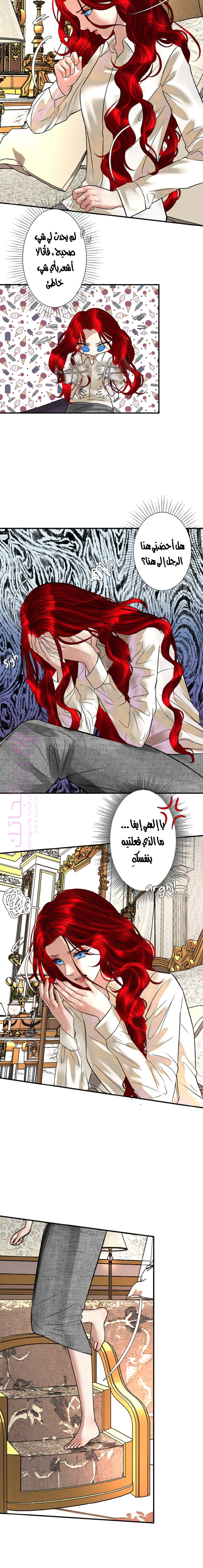 الصفحة 5