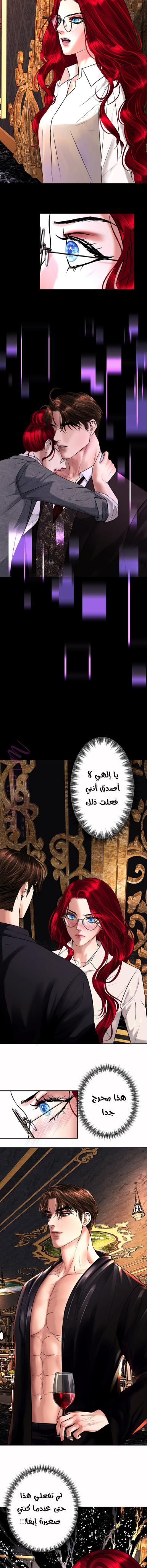 الصفحة 25