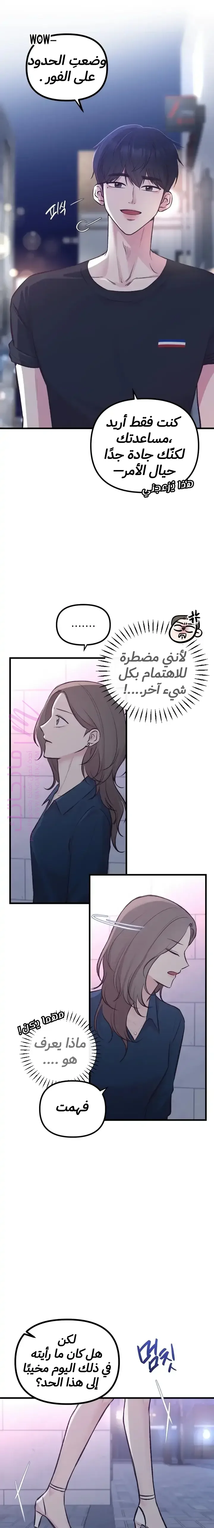 الصفحة 13