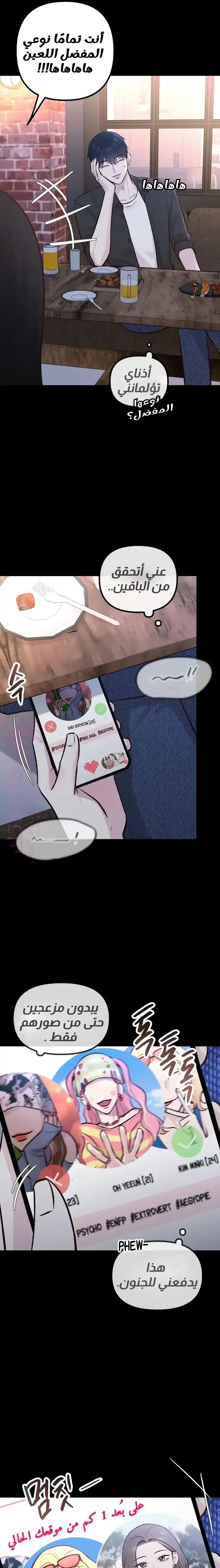 الصفحة 19