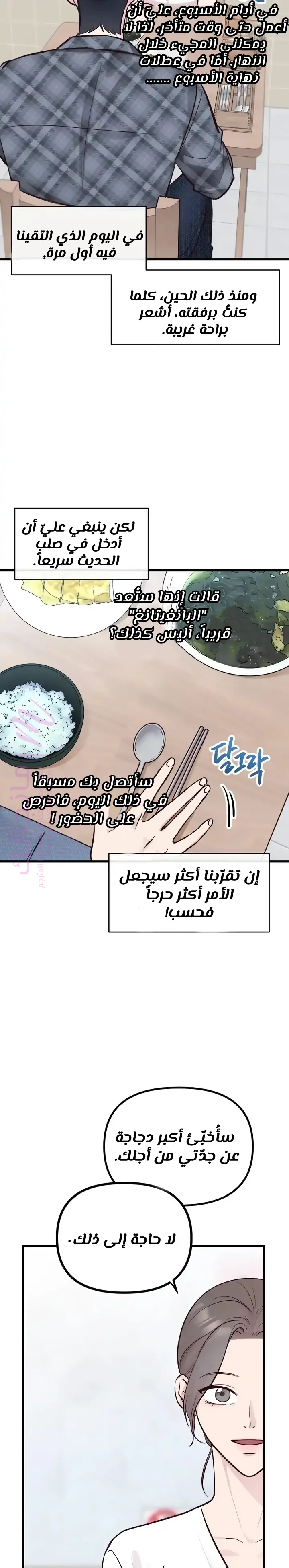 الصفحة 20