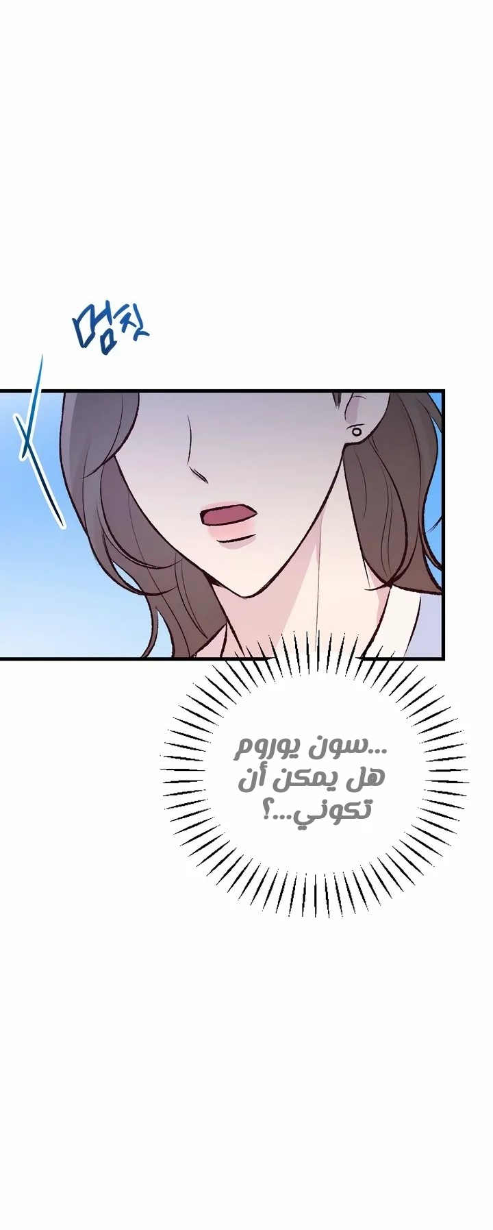 الصفحة 25