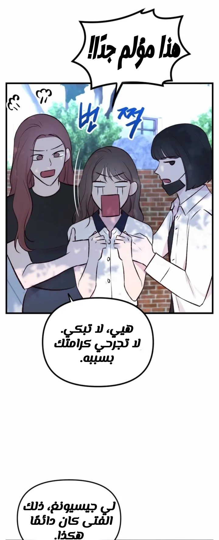 الصفحة 53