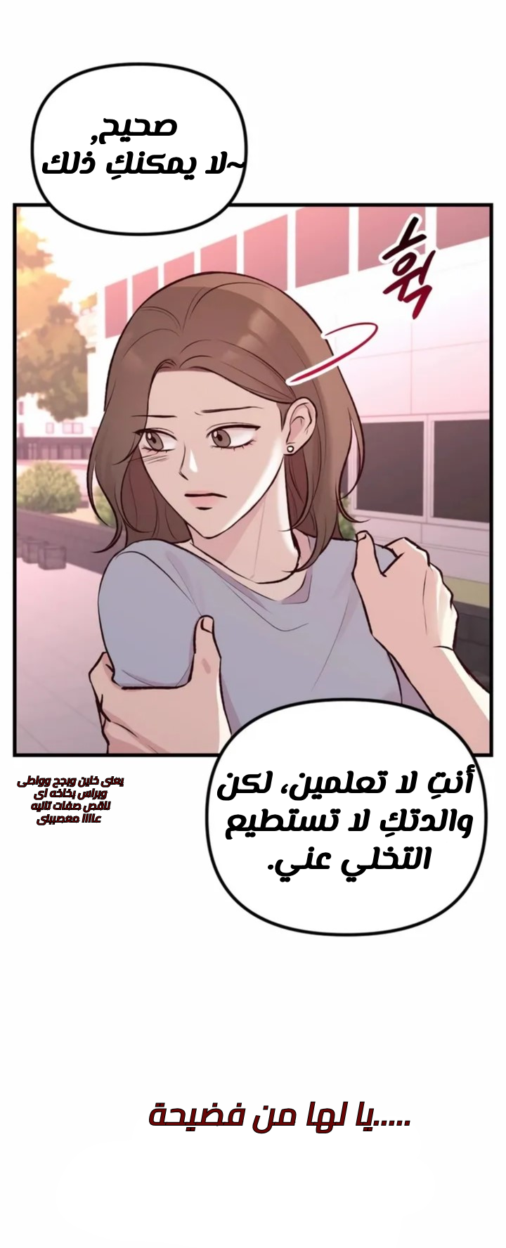 الصفحة 85