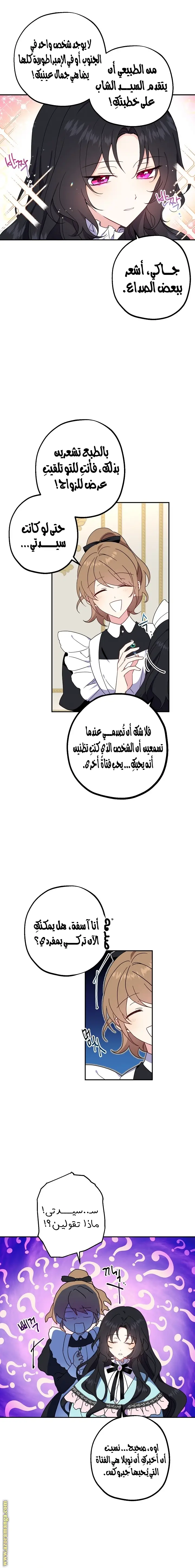 الصفحة 3