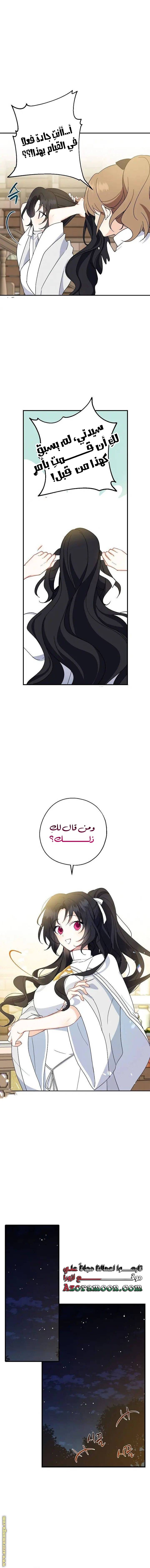 الصفحة 11