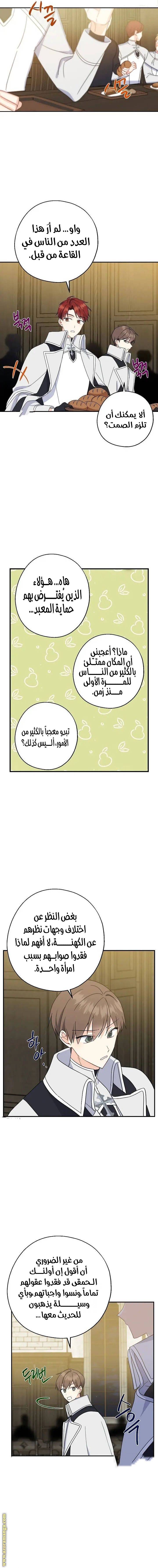 الصفحة 12