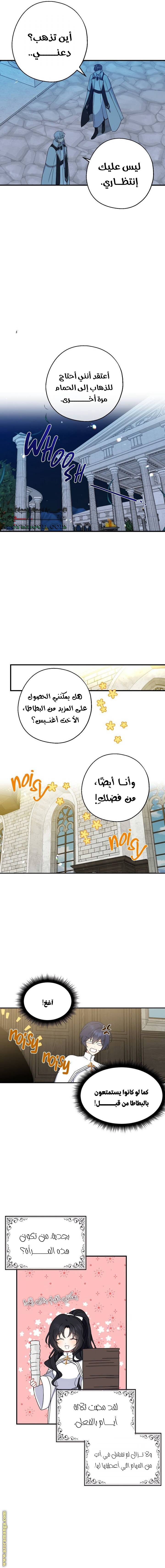 الصفحة 10