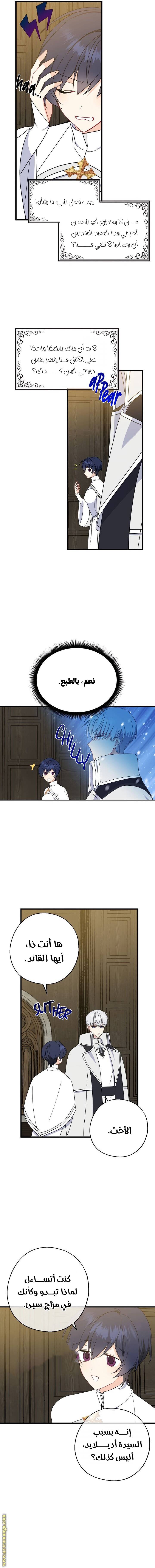 الصفحة 11
