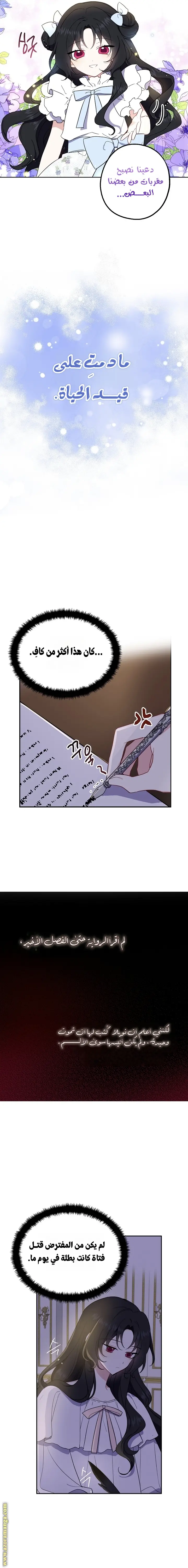 الصفحة 6