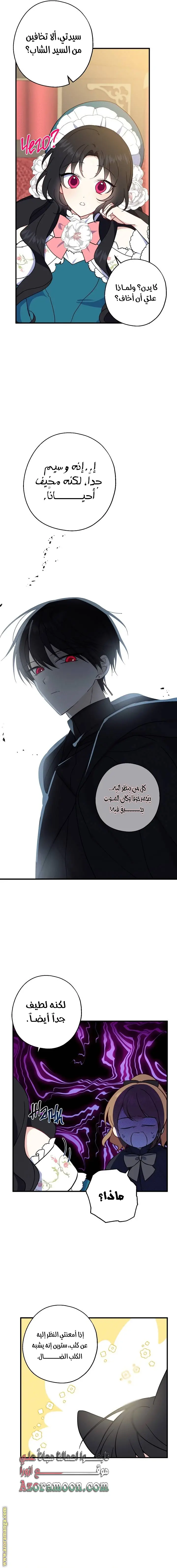 الصفحة 5
