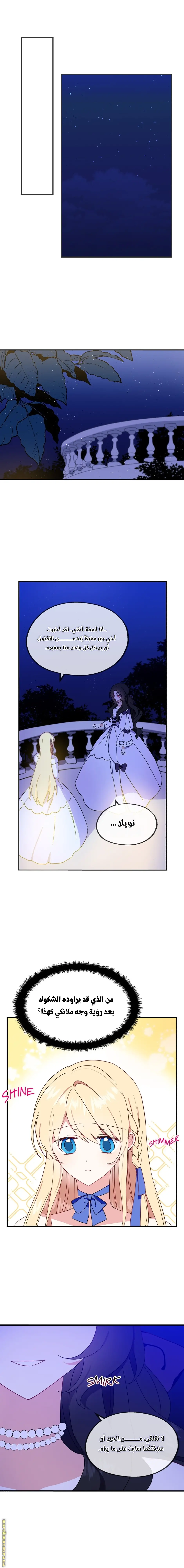 الصفحة 3