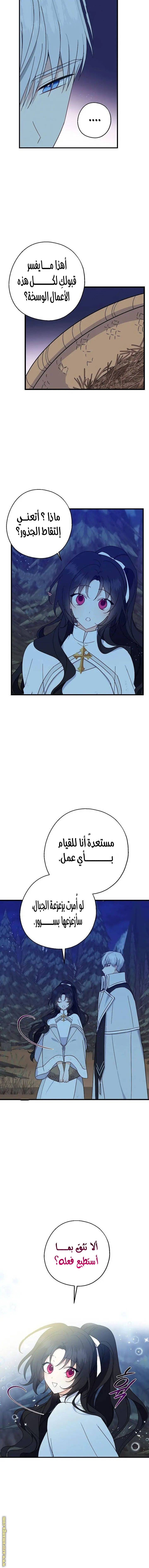 الصفحة 10